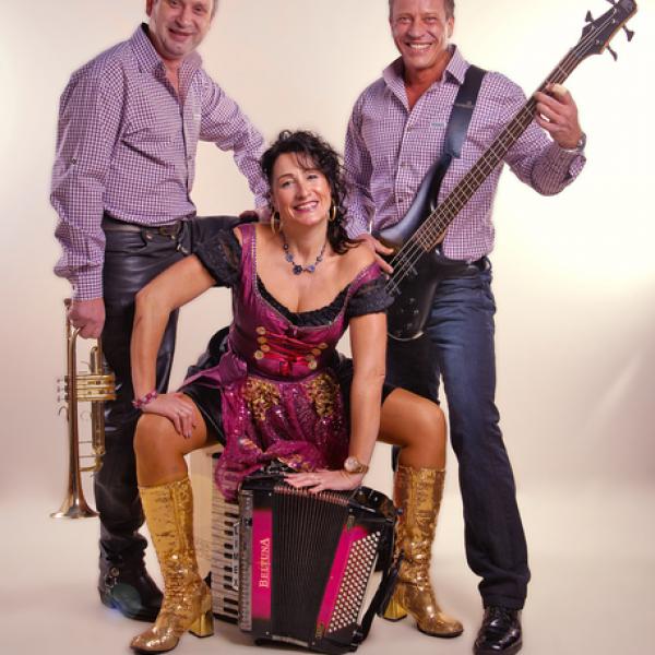 D'Gipfelstürmer - Partyband TRIO